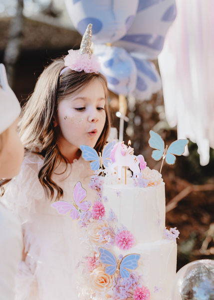 unicorn, birthday, cake, girl, butterfly