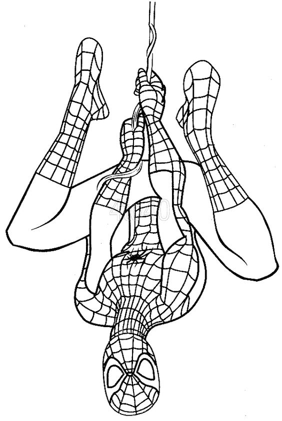 kinderparty Spiderman2POHX19O9NjgIP