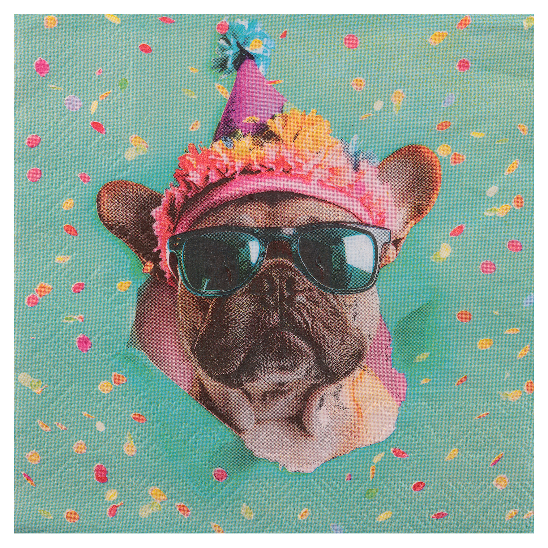 Sonnenbrille, Stuben, Tierbild, Partyhut, Mantel