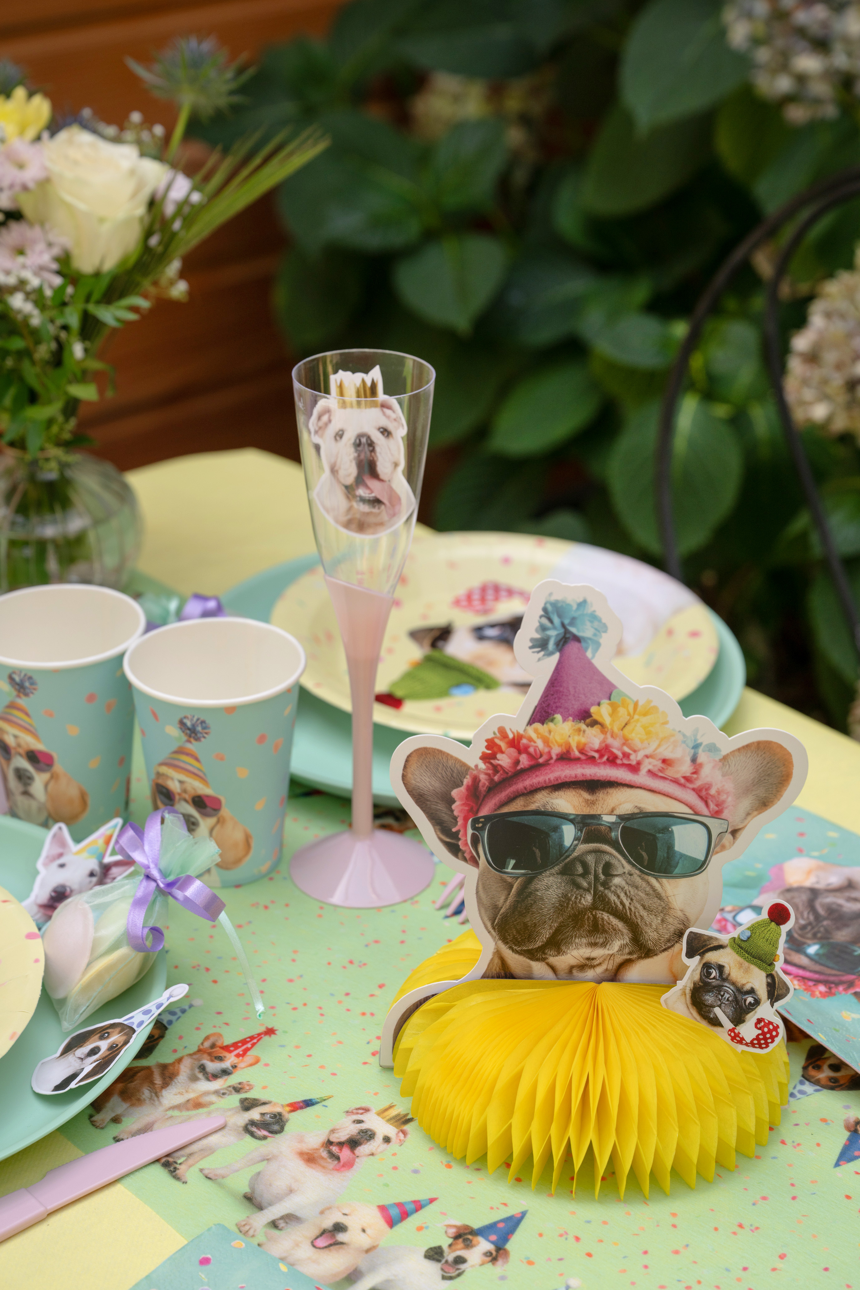 dog party dekor, doggen Gesichtern, Partykappe, Champagne-Glas, buntes Geschirr