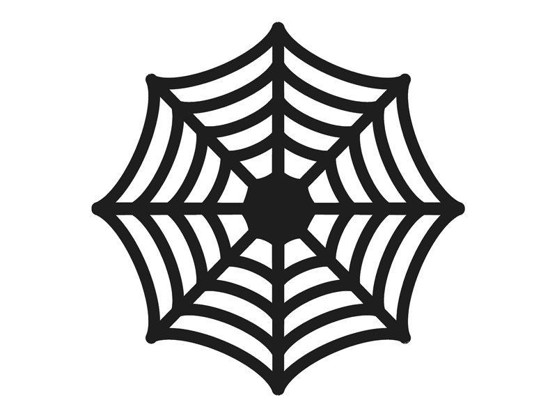 spider web, web, net, Octagon, Pattern