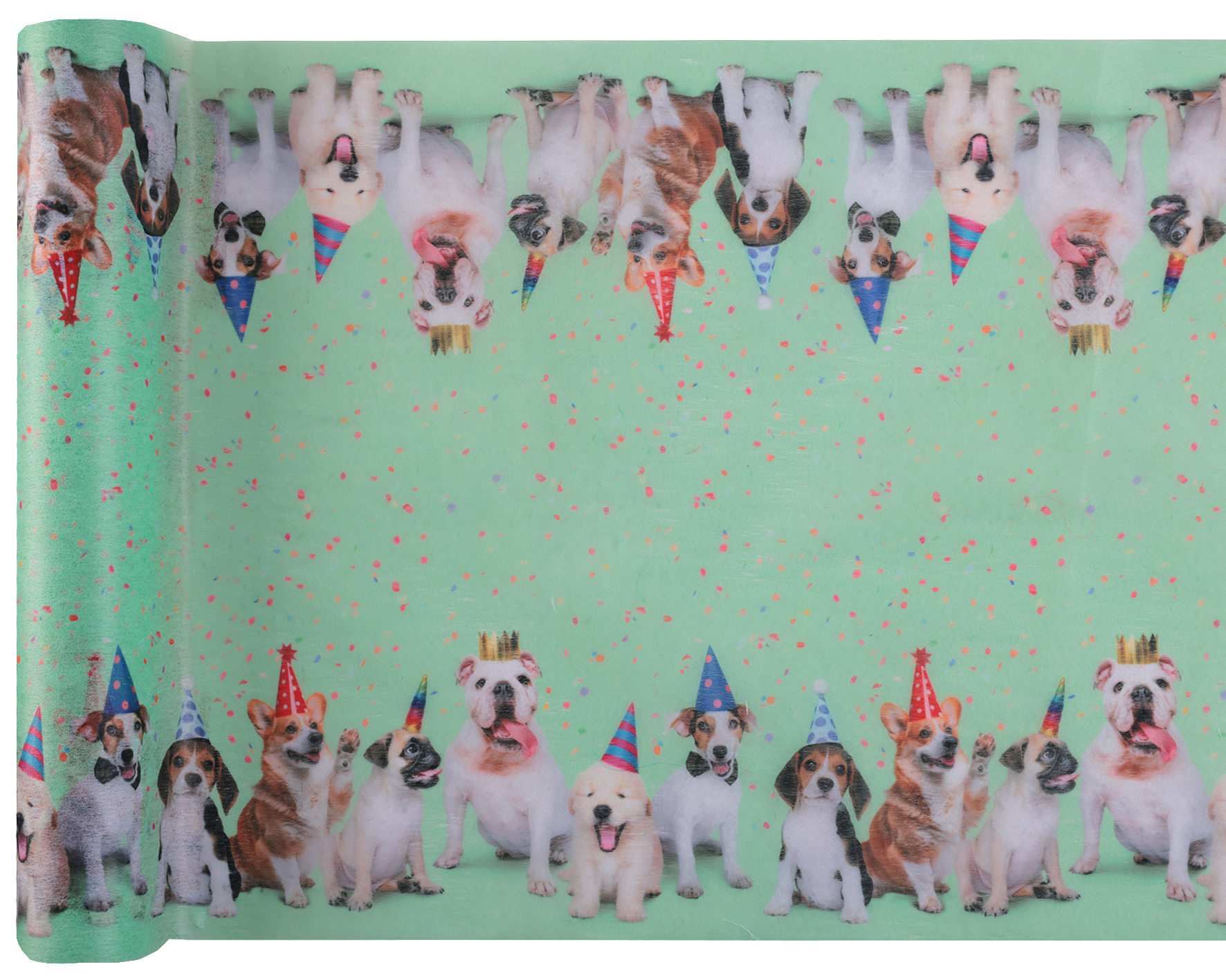 Hunde, Party, Konfetti, Party-Hut, Tierbild
