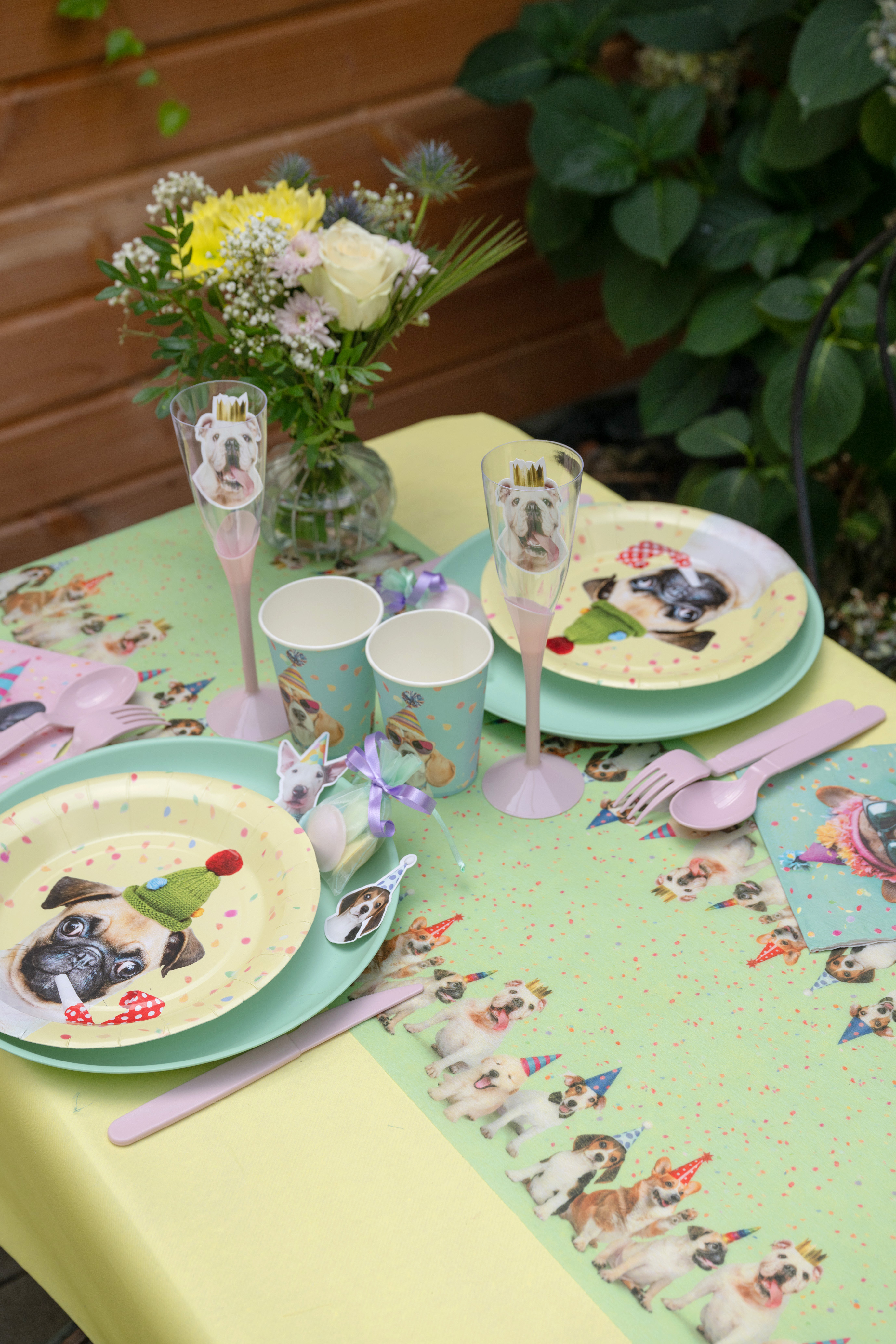 Hochzeits-Party, Pug, Puppy, Papiergeschirr, Dekoration