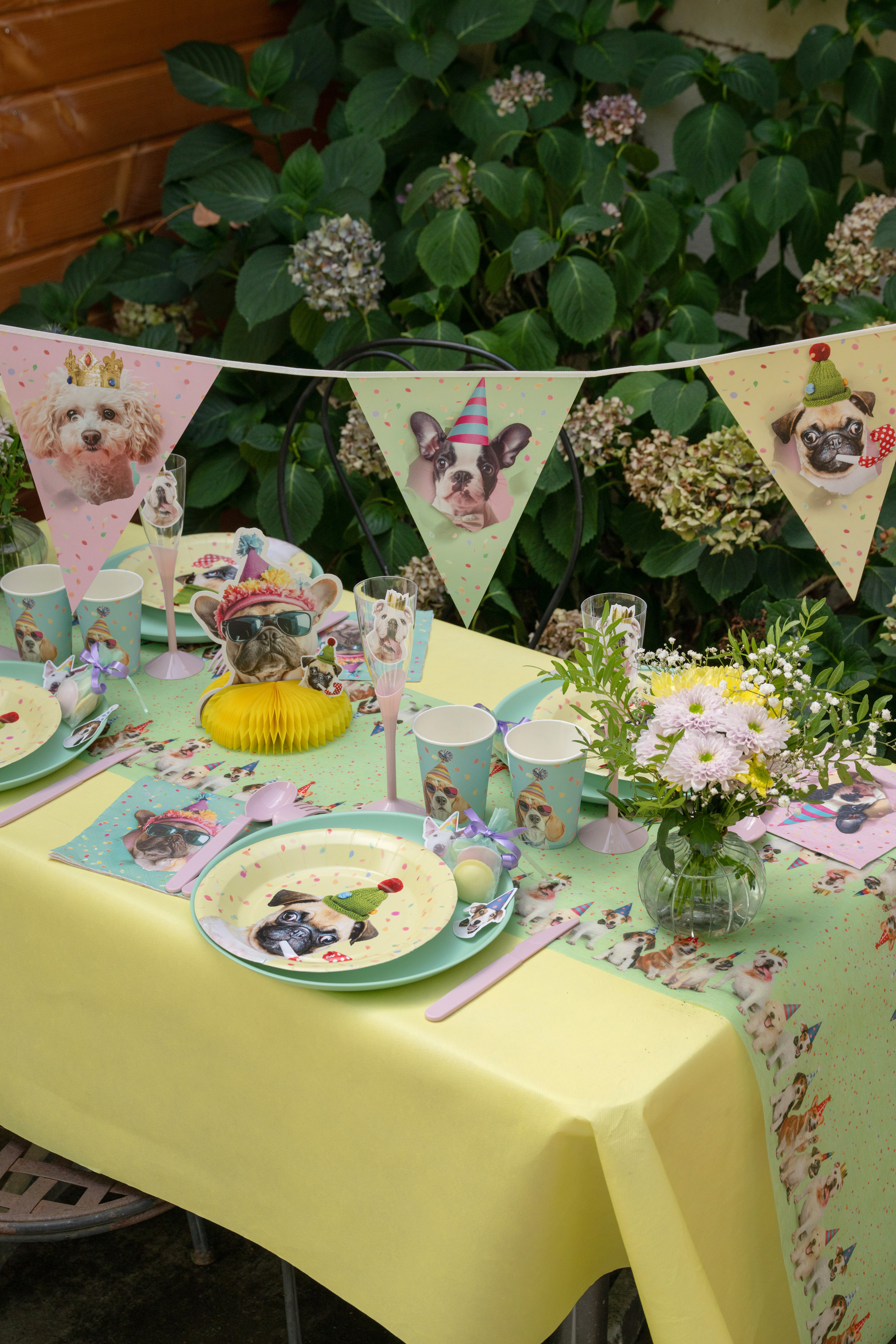 Hundeparty, Dekoration, Tischdekoration, Pappteller, Becher