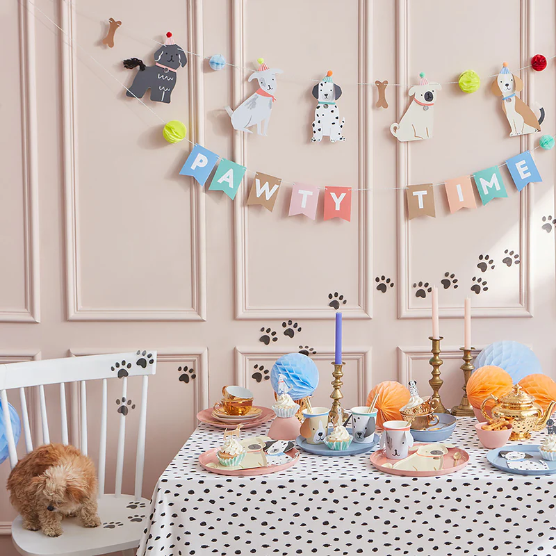 kinderparty media_d4259122-c87e-4d95-a610-f48e7c1defce