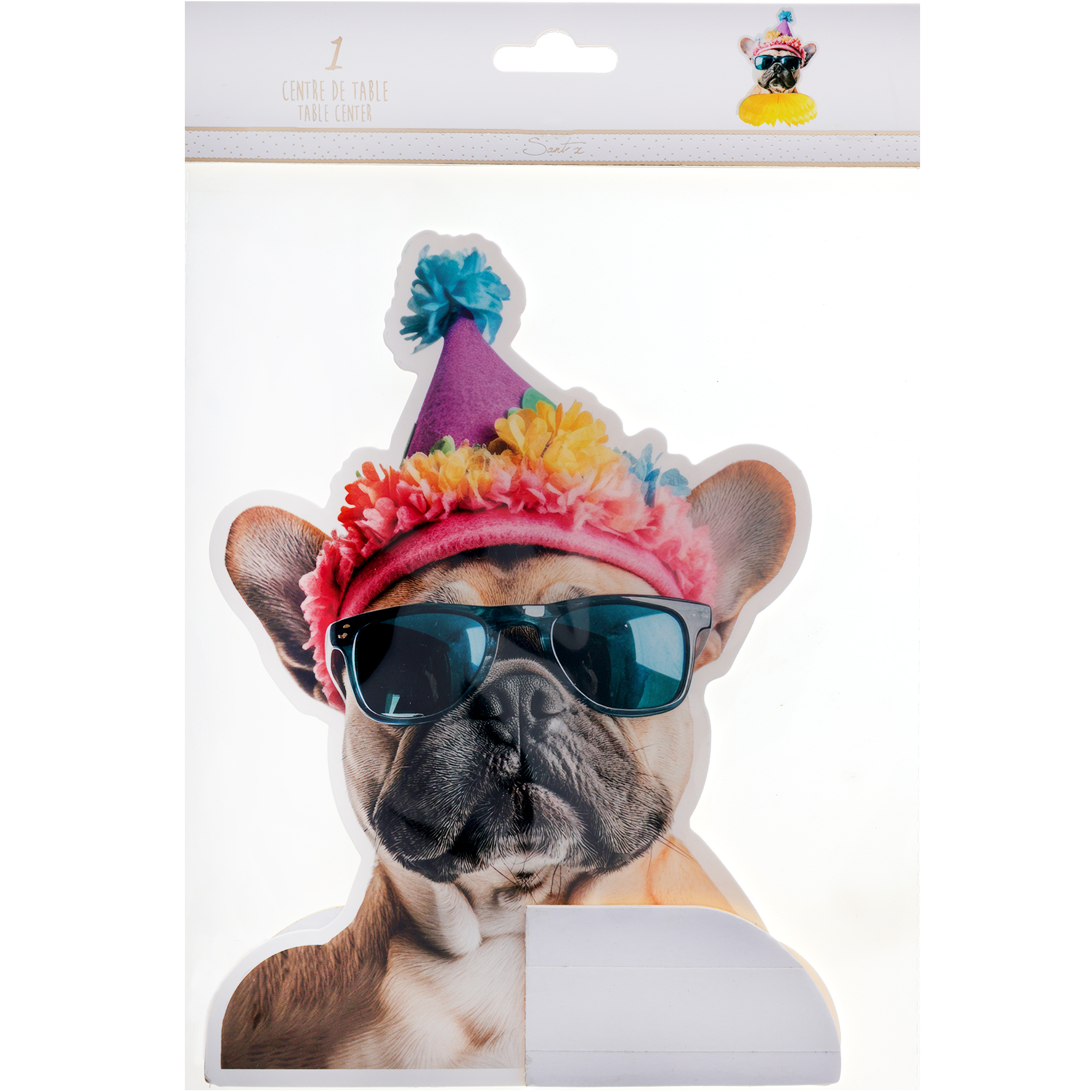 hund, feier, sonnenbrille, partyhut, requisit