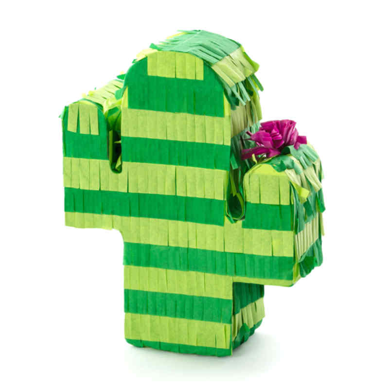 Mini-Piñata Kaktus