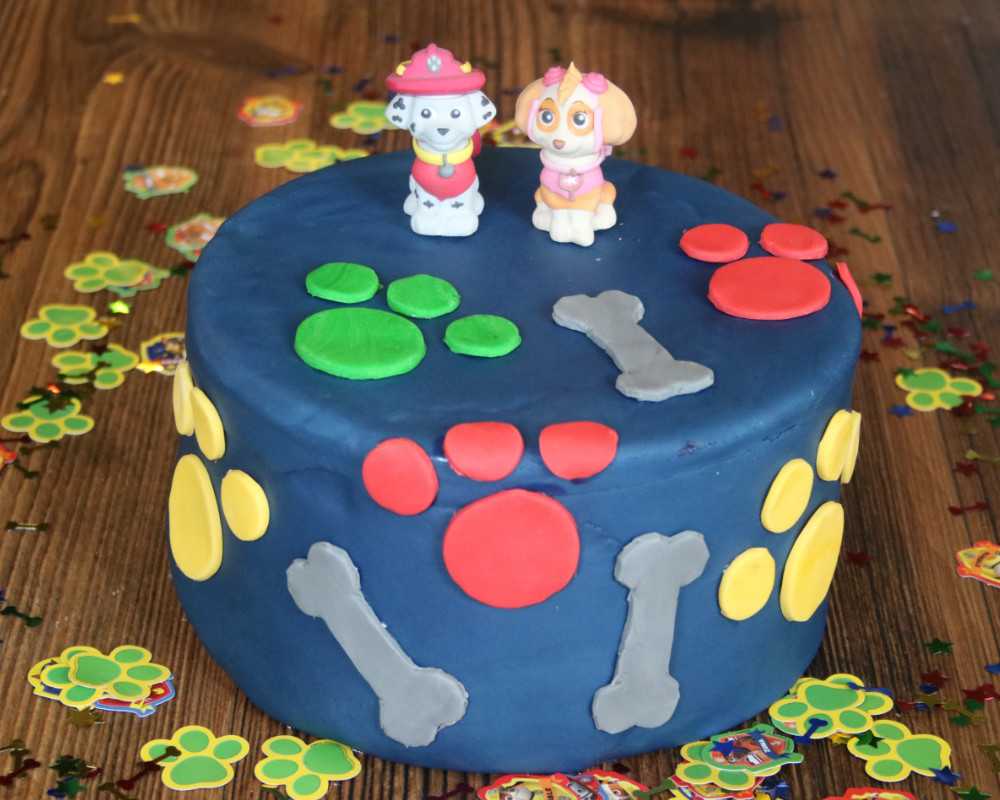 kinderparty PawPatrol9