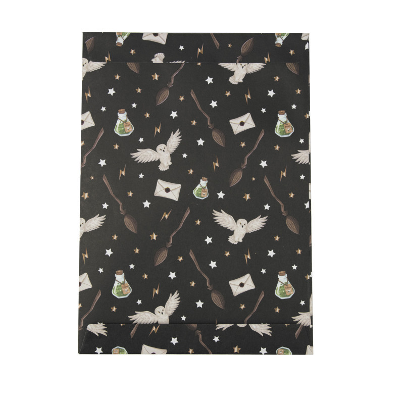 Sacs de fête Apprenti sorcier, 8 pcs.