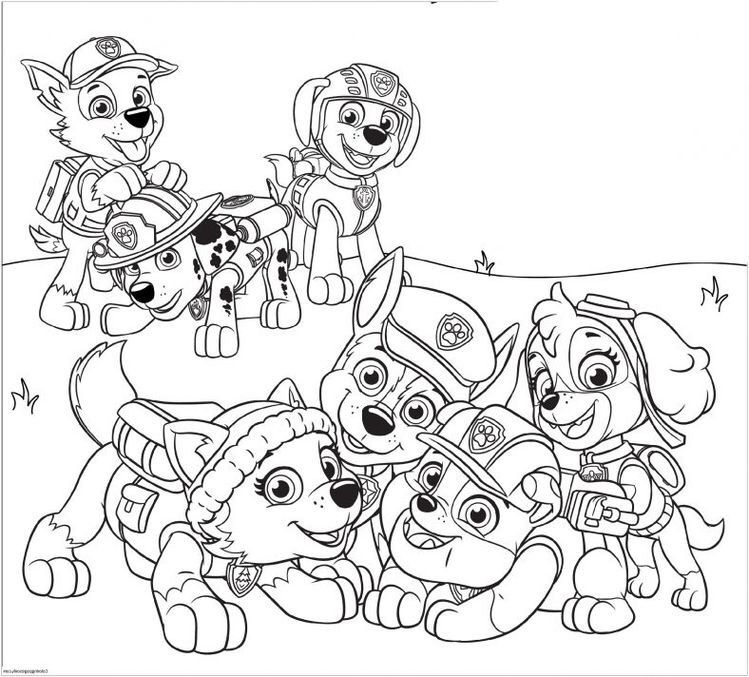 kinderparty PawPatrol3rpJyGFabypth8