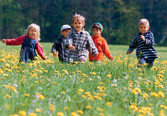 kinderparty PAw-PAtrol-Spiel