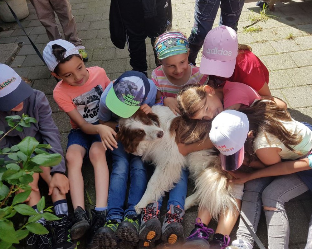 kinderparty Kinder-mit-Hund_1280x1280