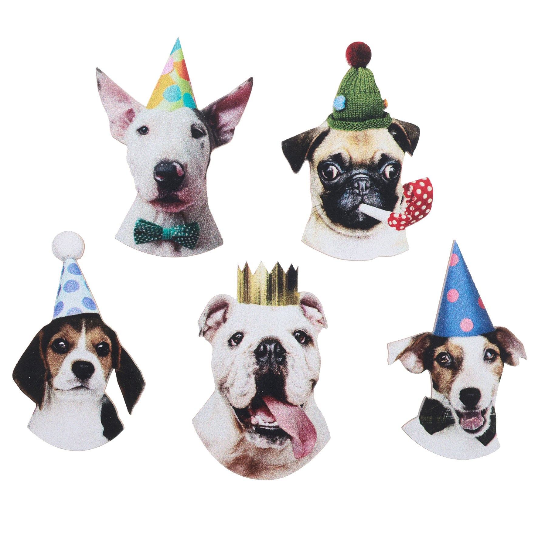 Hund, Party, Partyhüte, Collage, Hunderasse nicht spezifiziert