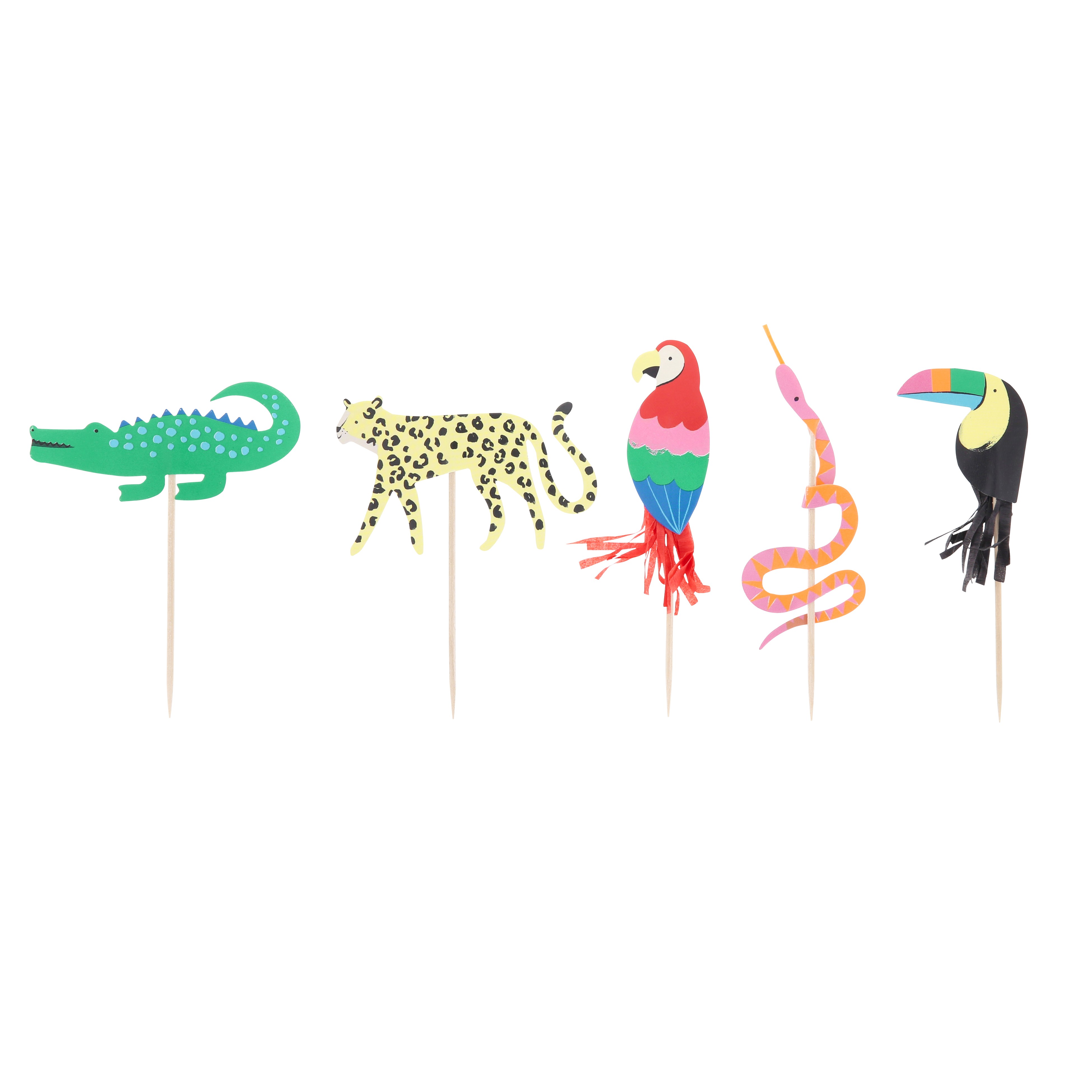 Alligator, Leopard, Parrot, Snake, Toucan