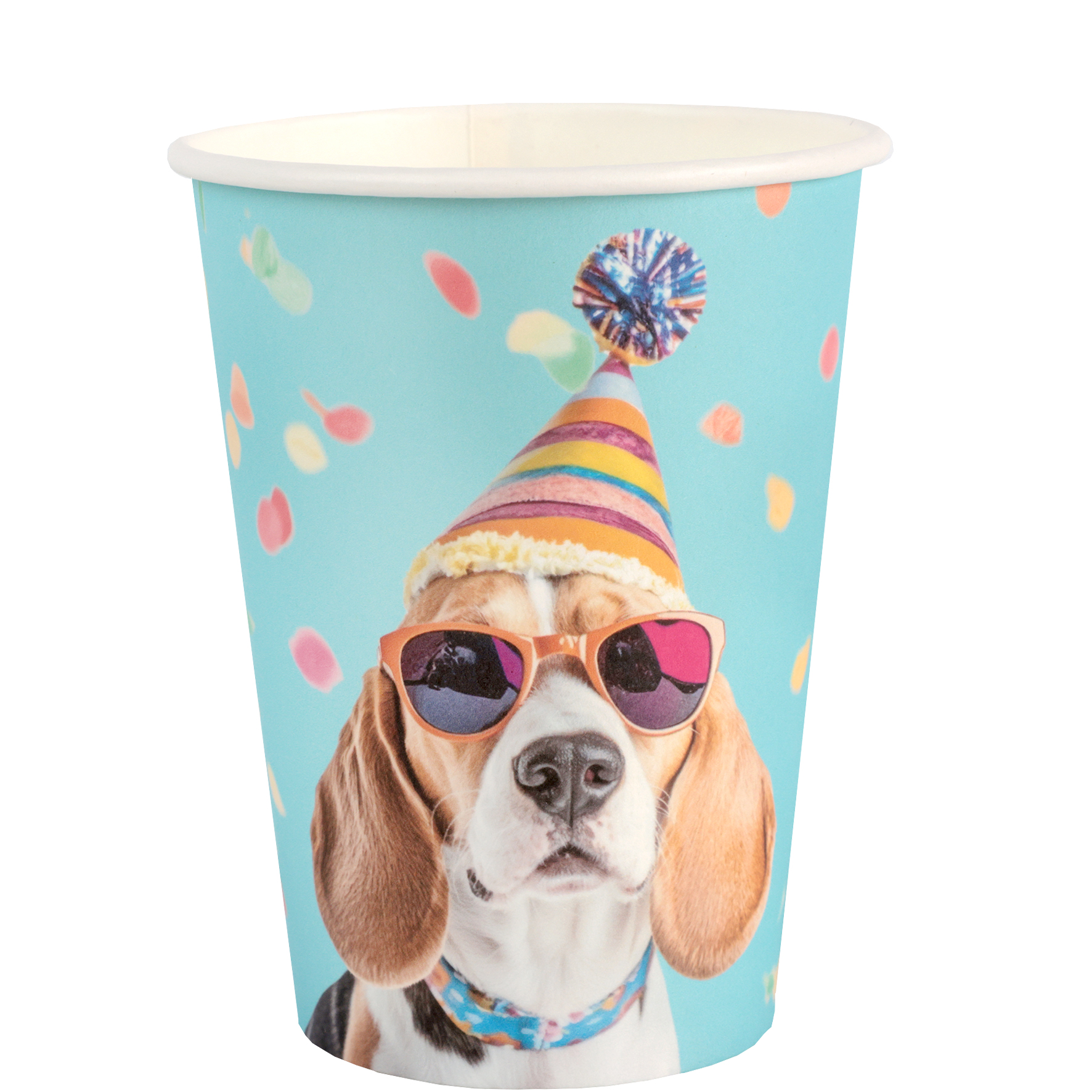 Hund, Party, Becher, Sonnenbrille, Partyhütchen