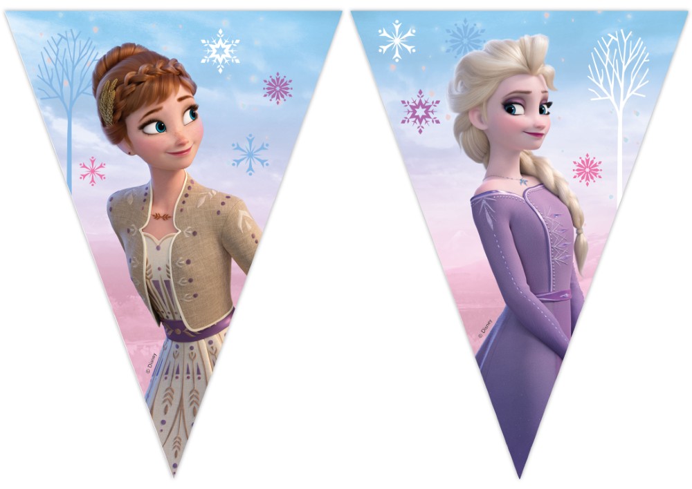 Dekofahne?, Elsa, Anna, Schneeflocken, Eisprinzessin