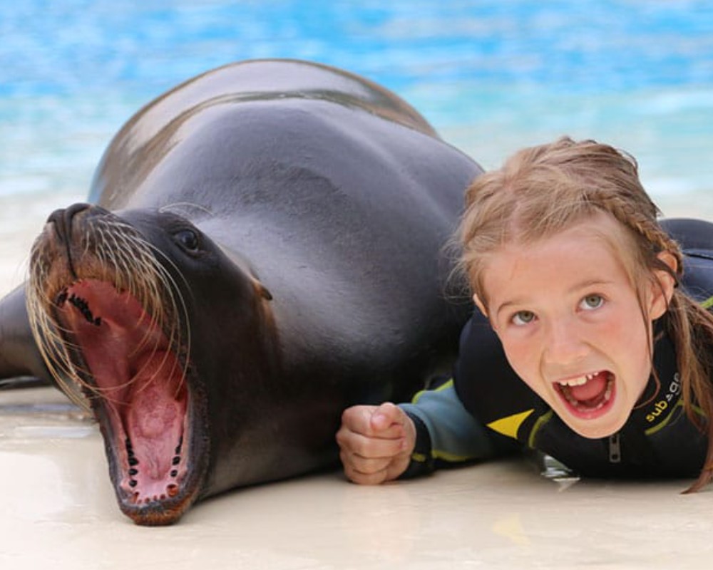 kinderparty Seel-wen-schwimmen_1280x1280