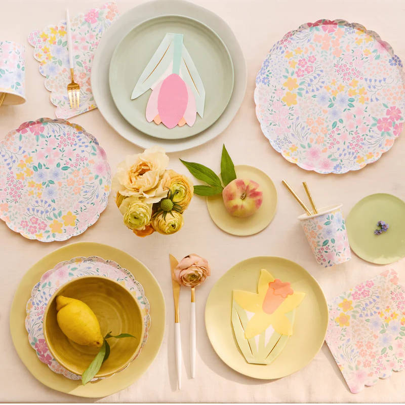 Kindergeburtstag-Partyteller-Meri-Meri-farbiger-Garten-2kFvnQtxTSUCcS