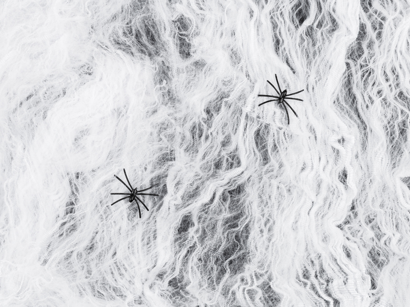 spinne, netz, textur, gewebe, linien