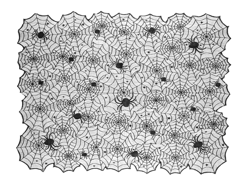 Spinnennetz, Dekor, Muster, Deko-Spannnetz, Spinne