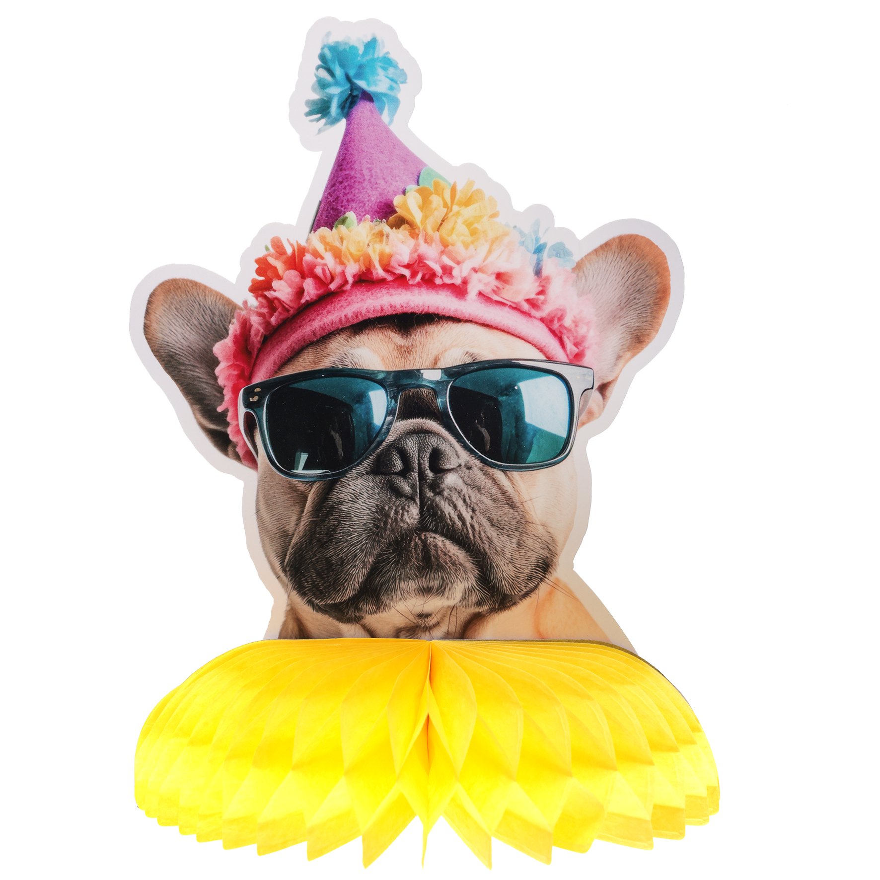 dog, puppy, Sonnenbrille, Partyhut, Papiergarnitur