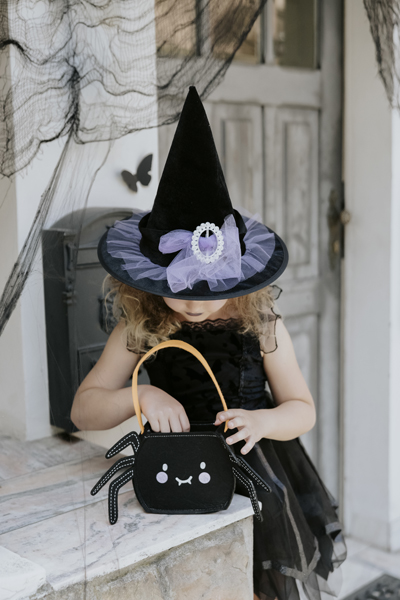witch hat, child costume, black dress, spider handbag, veil hat