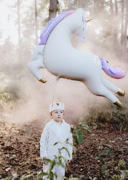 einhorn luftballon, kind, krone, wald, ballon