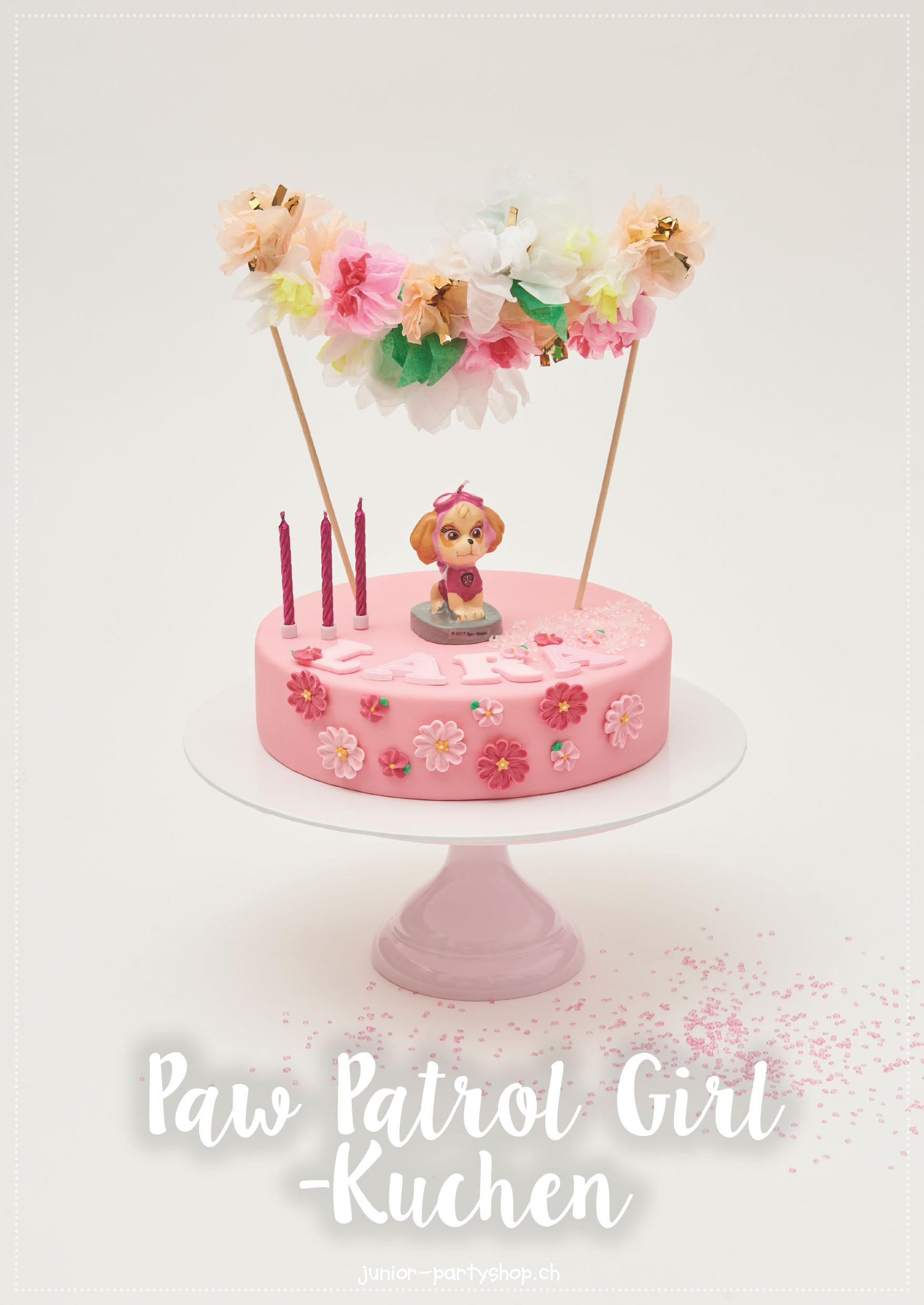 Anleitung Kuchen Paw Patrol Girl