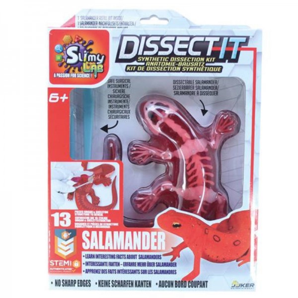Dissect-it Salamander