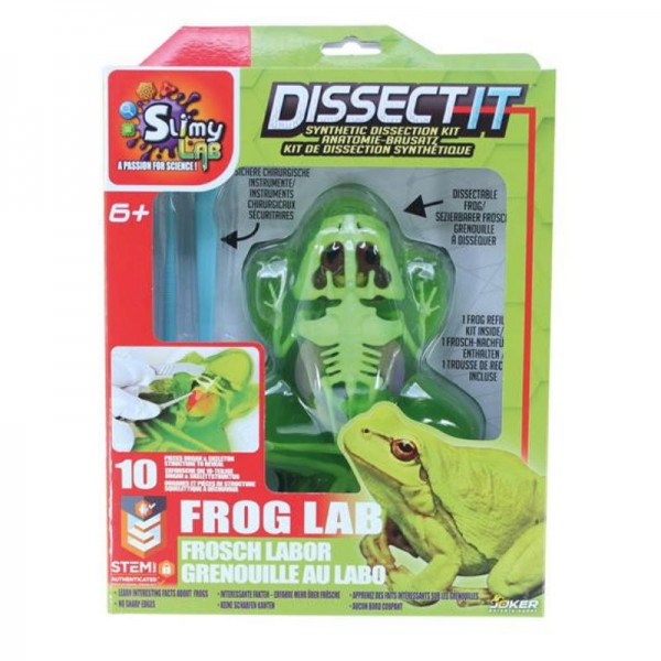 Dissect-it Frosch
